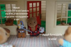 Rooster war sylvanian families