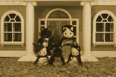 vampires sylvanian families