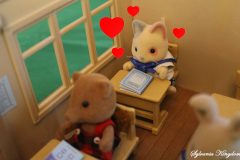 Sylvanian school love English version