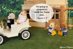 Sylvanian school love English version