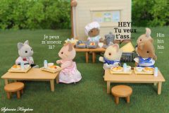 Sylvanian families school love