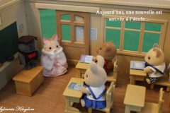 Sylvanian families school love