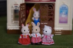 Sylvanian families danseuses étoiles