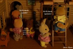 SylvanianSerialKiller10