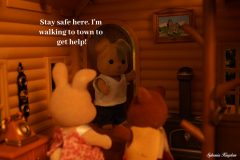 SylvanianSerialKiller16