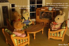 Sylvanianfamilies Serial Killer