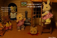 Sylvanianfamilies Serial Killer