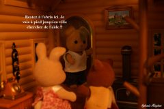 Sylvanianfamilies Serial Killer