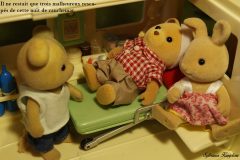 Sylvanianfamilies Serial Killer