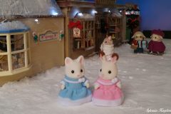 Sylvanian Families Winter Shopping